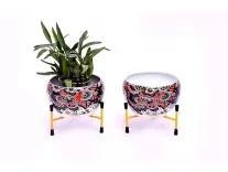 Solimo Tripod Stand Flower Set of 2 at Rs 222 – Amazon Solimo Tripod Stand Flower Set of 2 at Rs 222 – Amazon