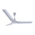 RR Signature 1200 MM Wavia High Speed Designer Ceiling Fan (35% Energy Saving, 2 Year Warranty) at ₹1699 | Amazon Deal RR Signature 1200 MM Wavia High Speed Designer Ceiling Fan (35% Energy Saving, 2 Year Warranty) at ₹1699 | Amazon Deal