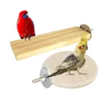 Sage Square Bird Wooden Circle & Stand Platform Combo at ₹1 | Amazon Deal Sage Square Bird Wooden Circle & Stand Platform Combo at ₹1 | Amazon Deal