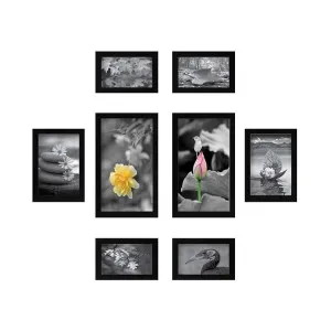 Solimo Collage Photo Frame Set of 8 Solimo Collage Photo Frame Set of 8