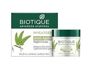 Biotique Wheat Germ Anti-Ageing Night Cream for Rs. 199 Biotique Wheat Germ Anti-Ageing Night Cream for Rs. 199