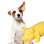 Sage Square Squeaky Rubber Pig Toy – Rs. 1 Sage Square Squeaky Rubber Pig Toy – Rs. 1