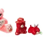 Soft Teddy Bear Combo Deal – Rs 535 Soft Teddy Bear Combo Deal – Rs 535