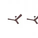 Havells Ambrose 1200mm Ceiling Fan (Pack of 2) – Rs 3998 Havells Ambrose 1200mm Ceiling Fan (Pack of 2) – Rs 3998