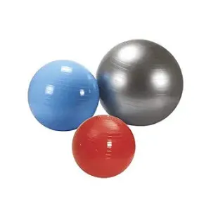 Vector X Anti Burst Gym Workout Yoga Ball (55cm) at ₹311 | Amazon Deal Vector X Anti Burst Gym Workout Yoga Ball (55cm) at ₹311 | Amazon Deal