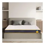 Centuary Sleepables 5-Inch Double Size Dual Comfort HR Foam Mattress at ₹5177 | Amazon Deal Centuary Sleepables 5-Inch Double Size Dual Comfort HR Foam Mattress at ₹5177 | Amazon Deal