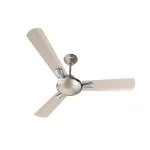 Havells Festiva 1200mm Dust Resistant Ceiling Fan at ₹319 | Amazon Deal Havells Festiva 1200mm Dust Resistant Ceiling Fan at ₹319 | Amazon Deal