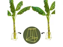 TrustBasket Banana Stand Holder for Pooja – Gold (Set of 2) Rs. 279 TrustBasket Banana Stand Holder for Pooja – Gold (Set of 2) Rs. 279