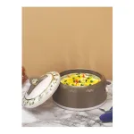 Nayasa Brown Coral Inner Stainless Steel Insulated Casserole 1 L at ₹399 | Myntra Deal Nayasa Brown Coral Inner Stainless Steel Insulated Casserole 1 L at ₹399 | Myntra Deal