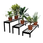 Indoor/Outdoor Metal Planter Stands for Flower Pots at ₹199 | Amazon Deal Indoor/Outdoor Metal Planter Stands for Flower Pots at ₹199 | Amazon Deal