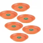 TrustBasket UV Treated Round Tray Set of 6 – Rs 225 TrustBasket UV Treated Round Tray Set of 6 – Rs 225