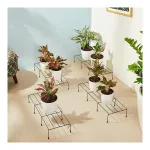 Solimo Heavy-Duty Metal Plant Stand at ₹386 | Amazon Deal Solimo Heavy-Duty Metal Plant Stand at ₹386 | Amazon Deal