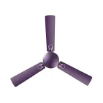RR Signature 1200MM Triana BLDC 5 Star 32 Watt Ceiling Fan with 60% Energy Savings, High Speed at ₹2448 | Amazon Deal RR Signature 1200MM Triana BLDC 5 Star 32 Watt Ceiling Fan with 60% Energy Savings, High Speed at ₹2448 | Amazon Deal