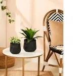 Amazon Basics Planter Set of 2 – Rs. 278 Amazon Basics Planter Set of 2 – Rs. 278